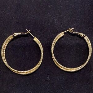 Elegant Gold Hoop Earrings for pierced ears